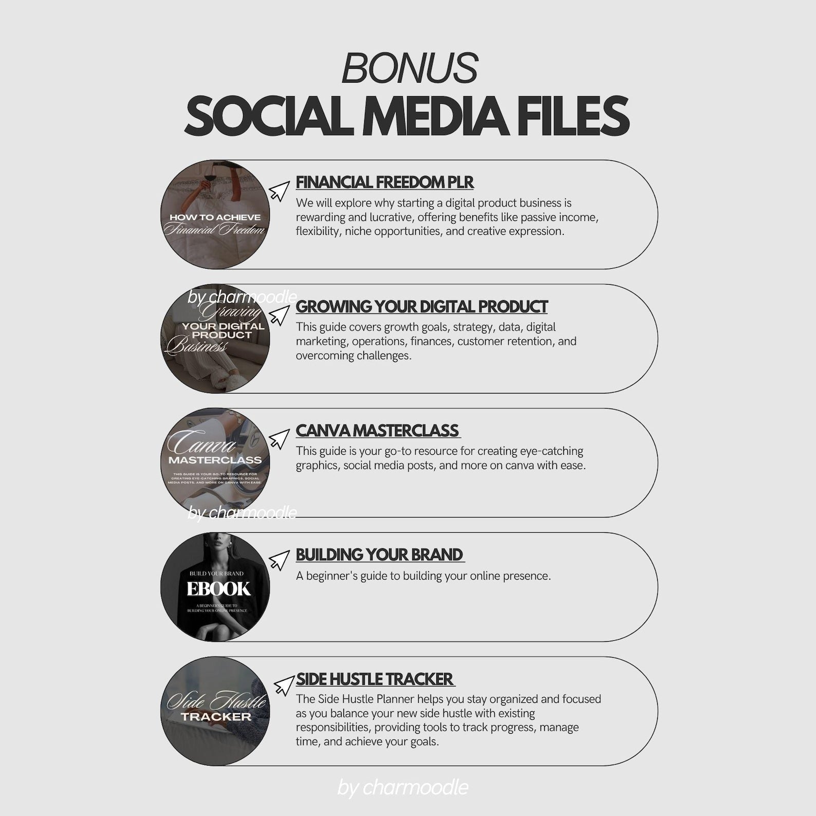 10+ Million Digital Products Bundle | Master Resell Rights MRR & Private Label Rights PLR for Passive Income, Done For You DFY
