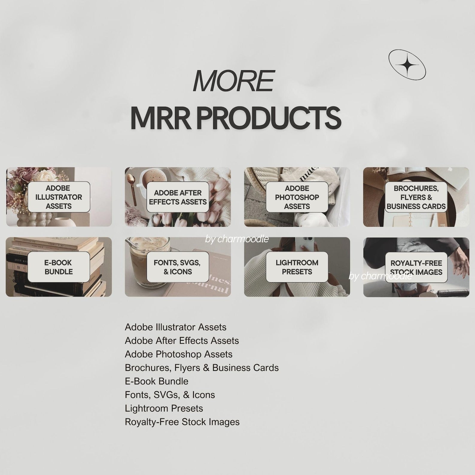 10+ Million Digital Products Bundle | Master Resell Rights MRR & Private Label Rights PLR for Passive Income, Done For You DFY